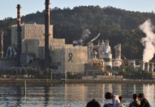 ¿Que tienen que ver ENCE, la revolución industrial y la emigración?