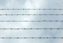 La delgada línea entre democracia y dictadura