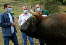 Garzón tiene razón, ¿y?