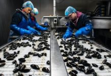 ¡TODO EL APOYO A LA LUCHA DE LA CONSERVA!