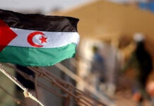 Defender a la República Árabe Saharaui Democrática (RASD) frente a la ocupación colonial de Marruecos