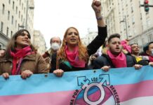 Victoria de la movilización: Se aprueba la Ley Trans. Un punto de inflexión en una lucha que debe continuar