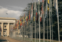 ¿Para qué sirve la ONU?