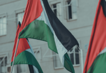 El sindicalismo alternativo muestra su apoyo a Palestina