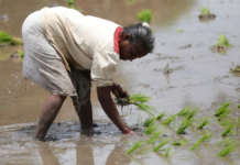 Raza, género y clase en la lucha por justicia medioambiental (Parte II)