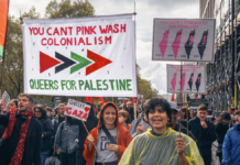 Pinkwashing y el Estado de Israel