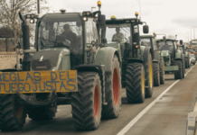 Separar el trigo de la paja