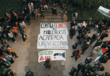 ¡Todo el apoyo a las acampadas universitarias por Palestina!