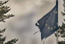 Declaración frente a las elecciones europeas 2024: Una salida socialista y revolucionaria ante la Europa del capital