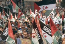Cómo la lucha del pueblo saharaui cuestiona la UE