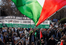 Gobierno PSOE-Sumar, cómplice del genocidio a Palestina y vasallo de EEUU e Israel