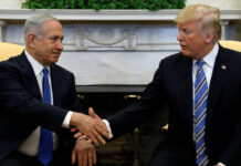 El plan colonial de Trump contra el espectacular apoyo internacional a los palestinos